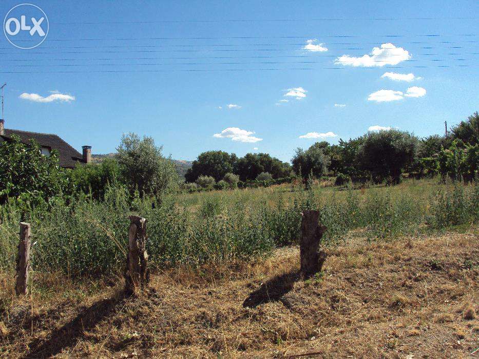 Terreno para construção