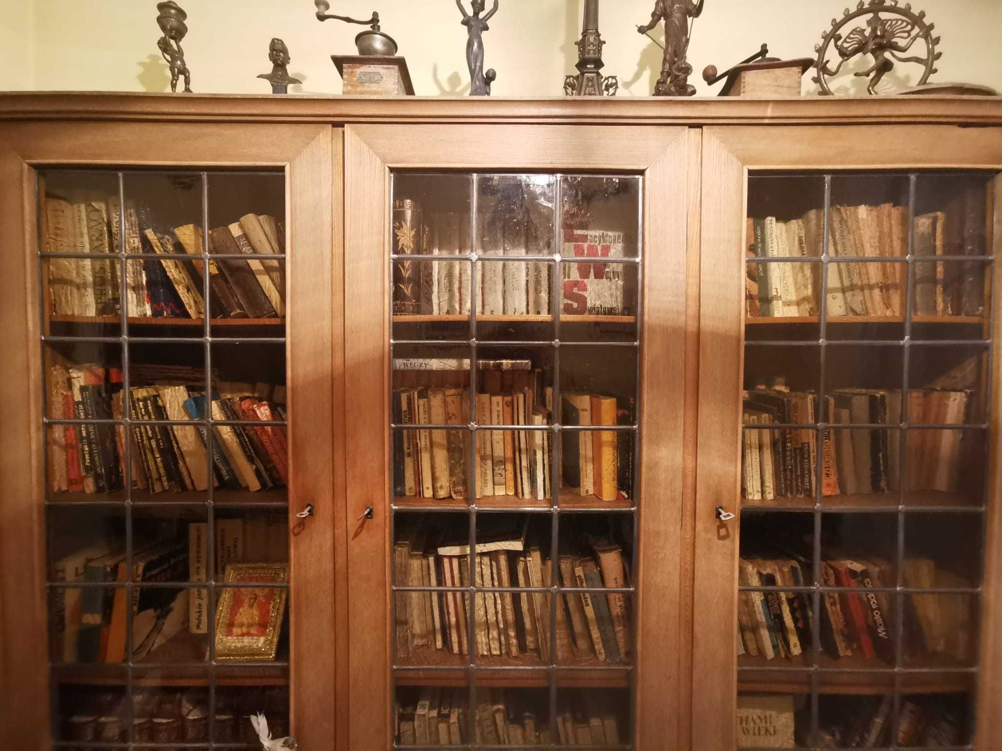 Stylowa biblioteka z piękną witryną