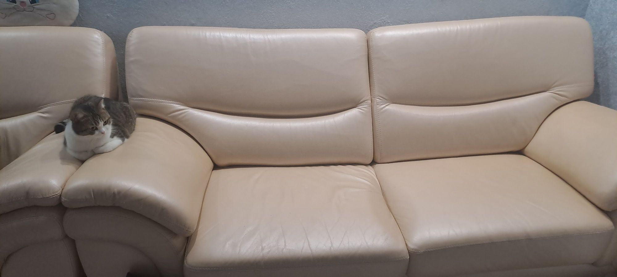Шкіряний диван з кріслом