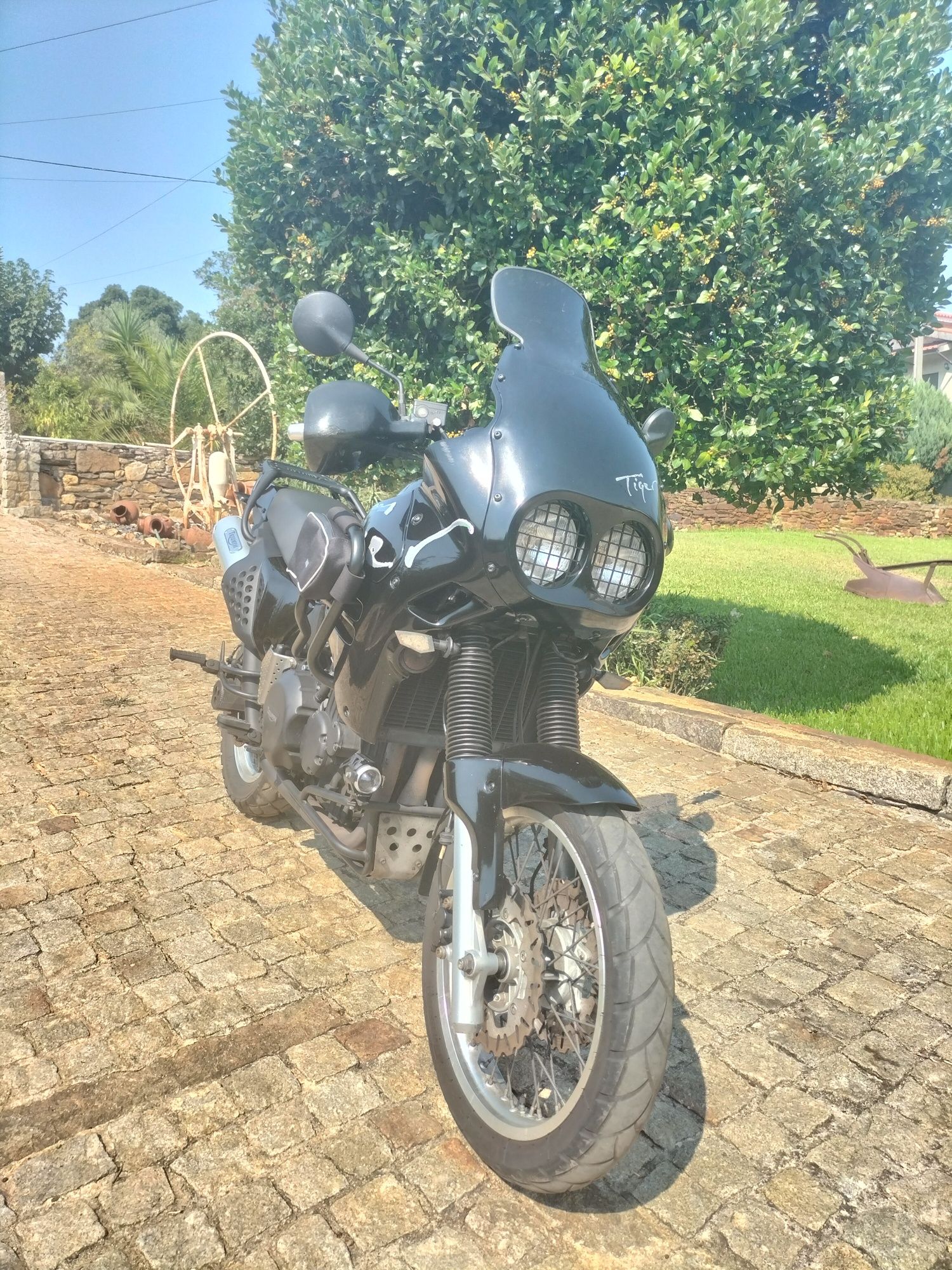 Triumph tiger 900