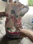Worek klej gipsowy Dolina Nidy