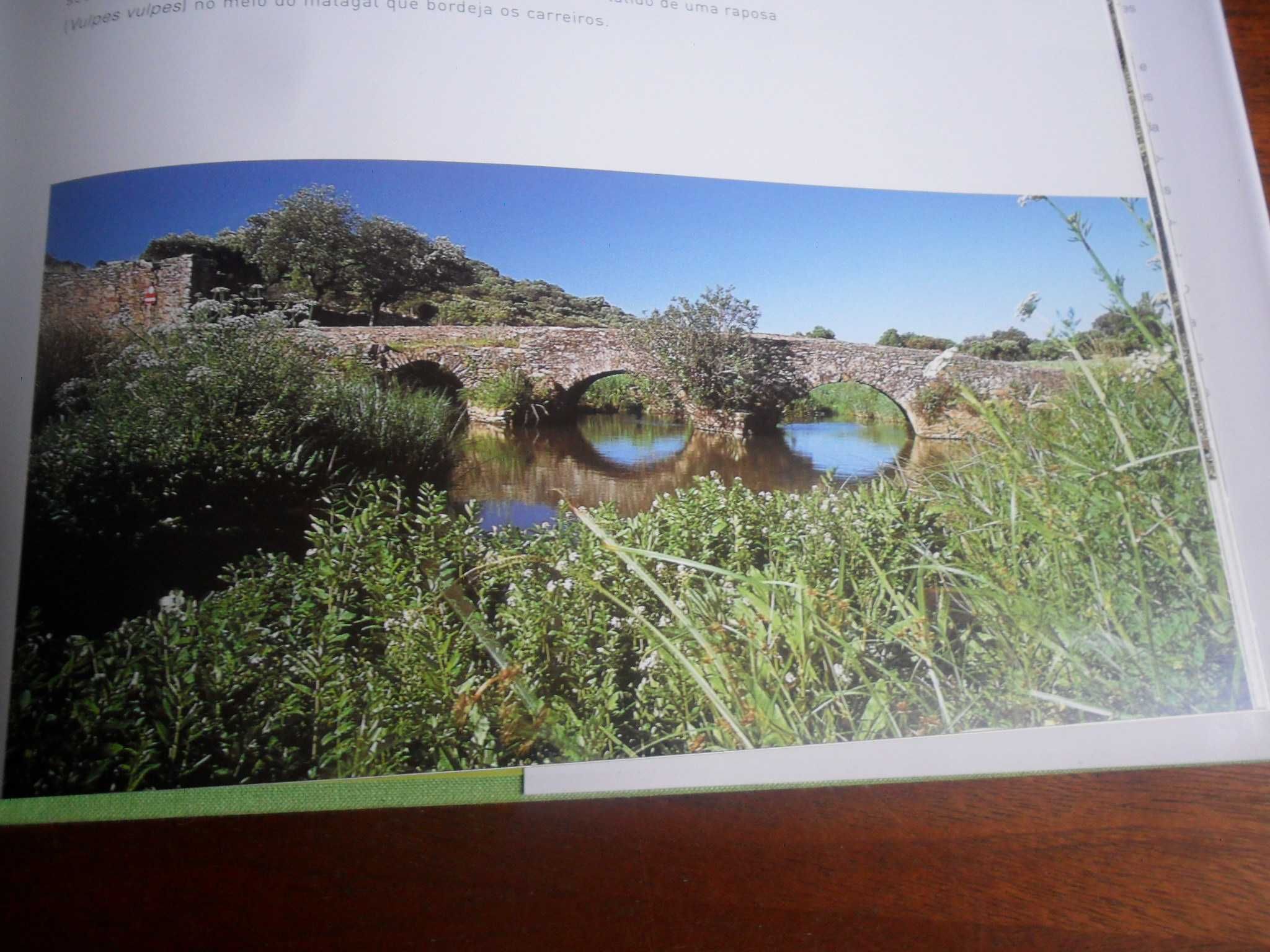 "Descobrir Portugal - Lugares Naturais" de Jorge Nunes -1ª Edição 2001