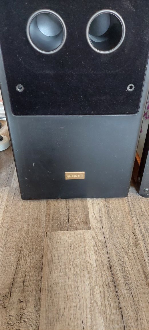 Diora Polaris 180 w obudowie Canton ergo.