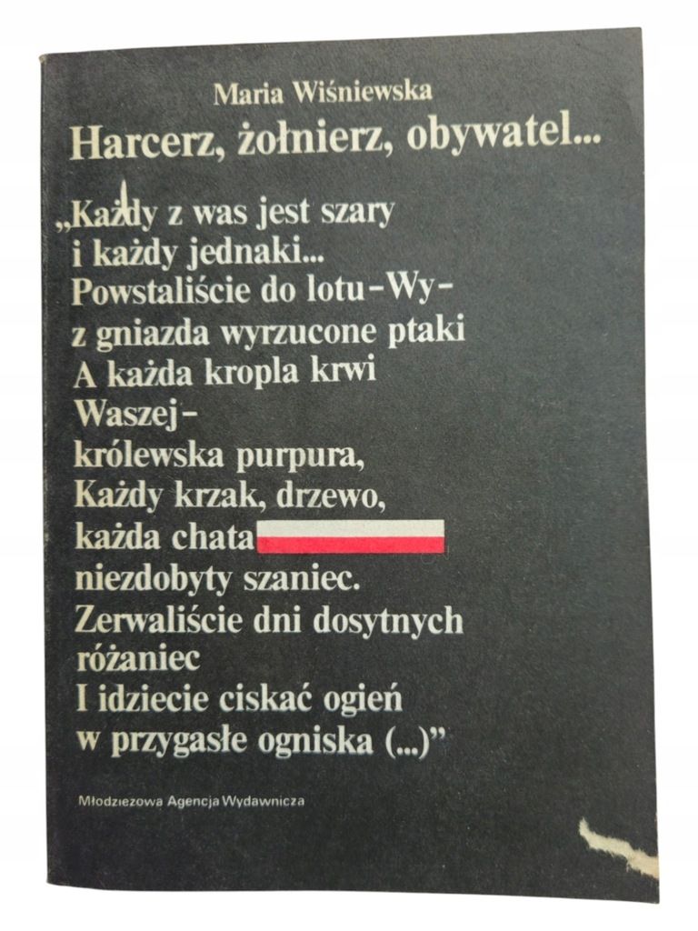 Wiśniewska Harcerz Żołnierz Obywatel Szkice O Prasie Szarych Szeregów