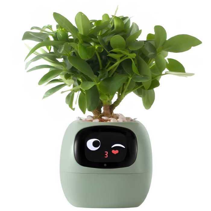 Умный интерактивный горшок для растений Tuya Ivy Smart Planter зеленый