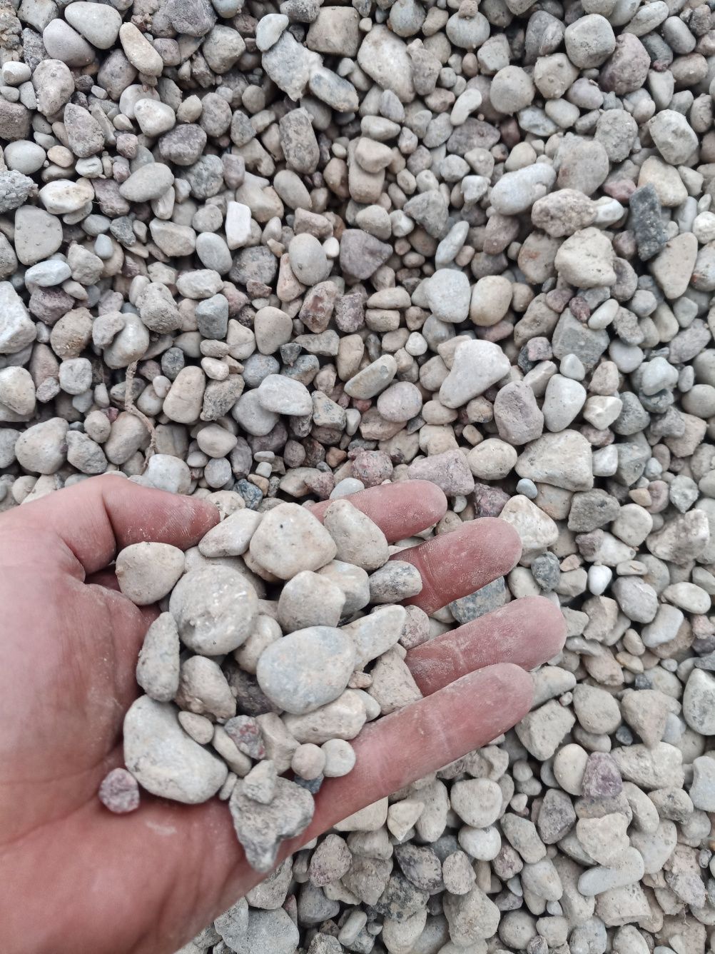 zwir,ziemia,piasek,kamien gabion,pospolka,transport wywrotka 5 - 10 -