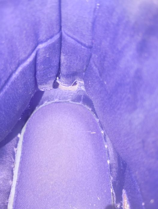 Air Jordan 1 Retro High Court Purple (2021)