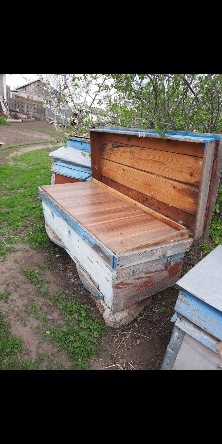 Продам улики без пчел