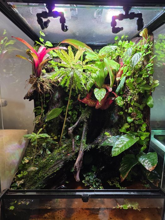 Paludarium / Terrarium / Vivarium Repti Planet 45x45x60