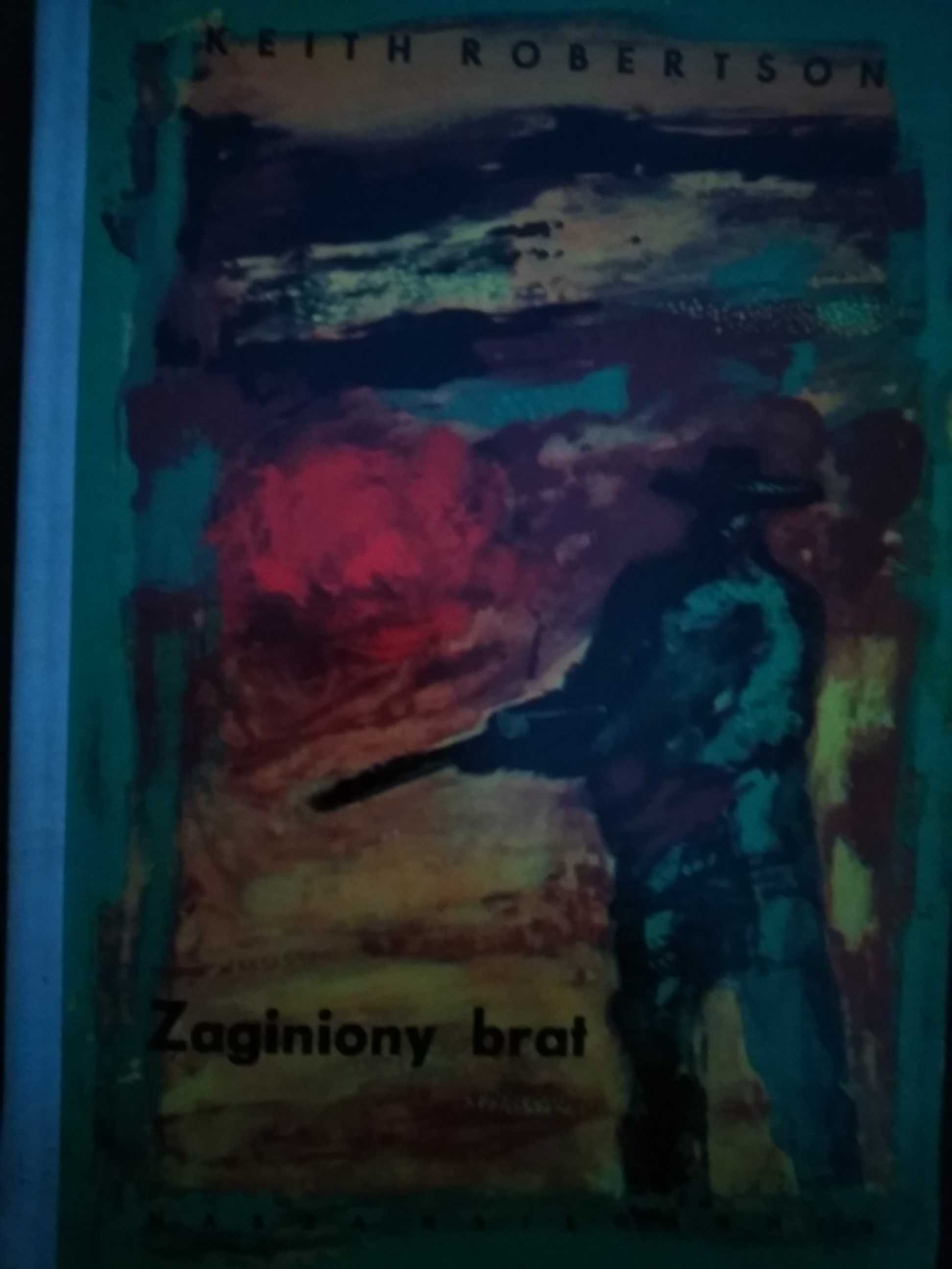 Zaginiony brat Keith Robertson