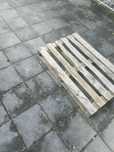 Paleta 120x80 jednorazowa