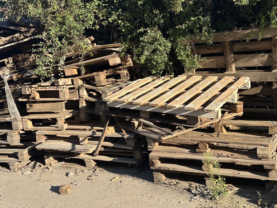 Oddam palety drewno na opał