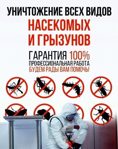 Обробка квартири та приміщень від тарганів