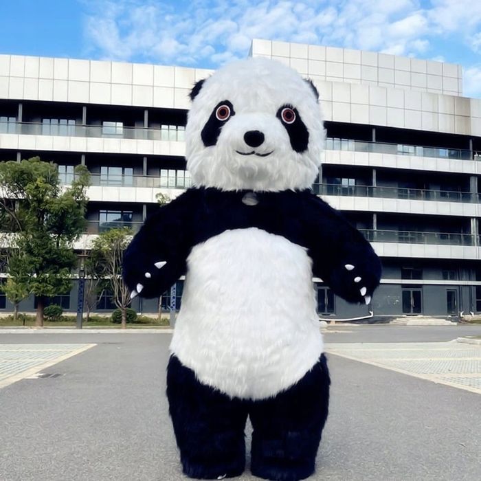 GIGANTYCZNY MIŚ PANDA 2.6 METRA XXL KOSTIUM misia pandy - sprz. prywat