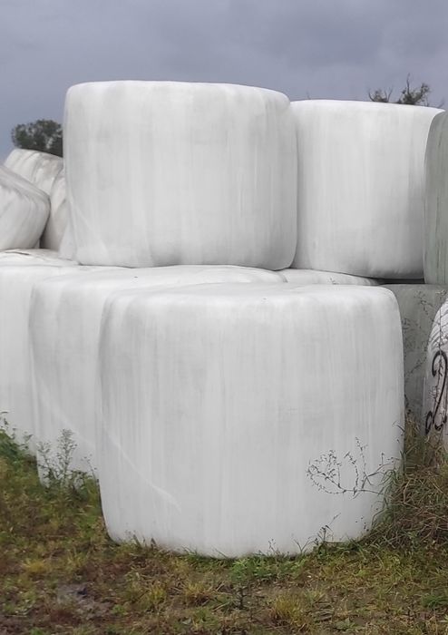 Sianokiszonka bele 125