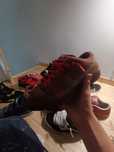Nike dunk sb mysteric red