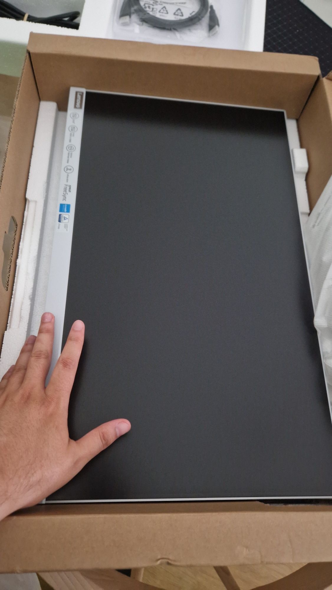 Monitor Lenovo L24E