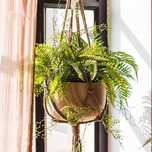 2 x Suportes cordão cesto suspender vasos jardim plantas jardinagem
