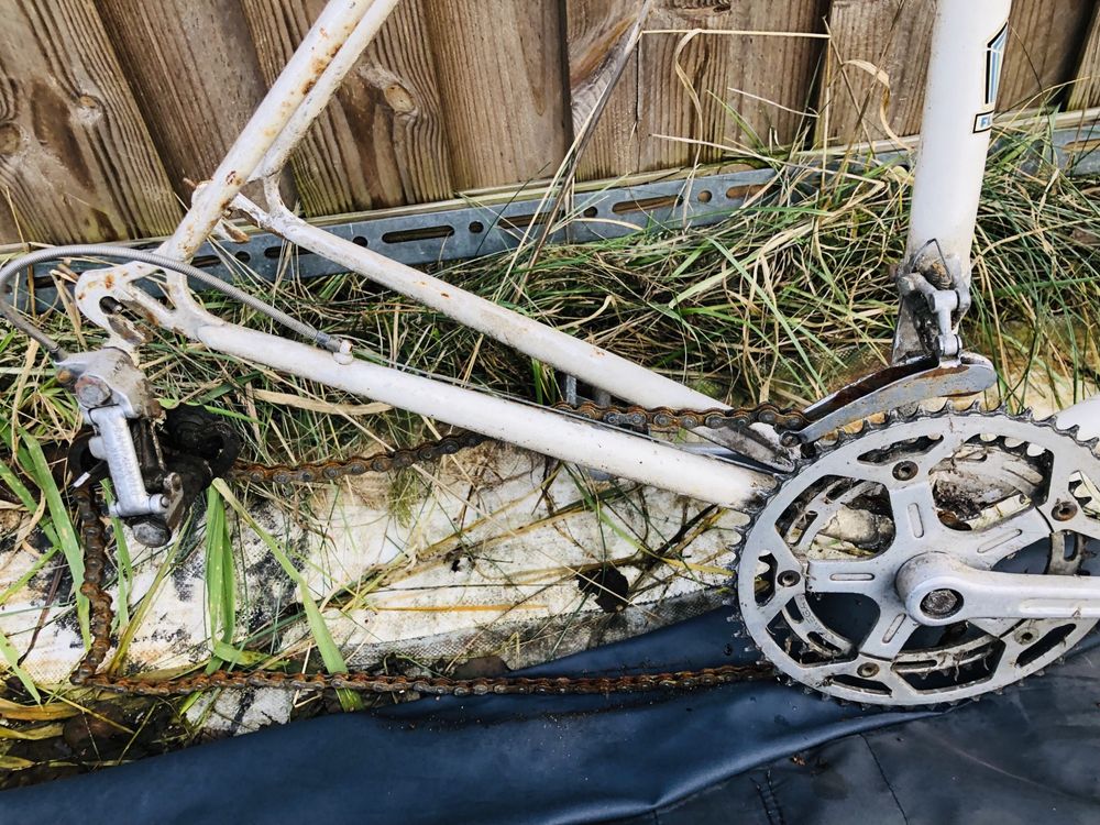 Pakiet 6 rowerów szosowych campagnolo shimano