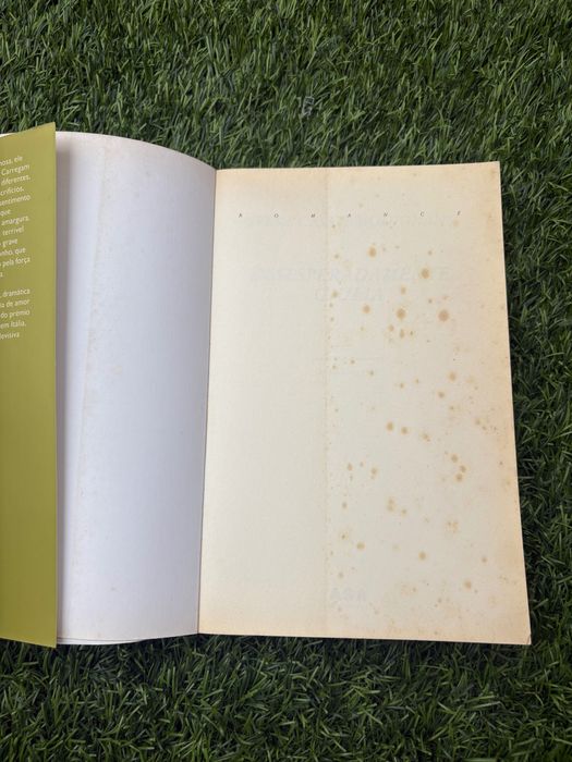 Livro desesperadamente giulia