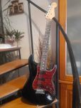 Fender Stratocaster USA + Case