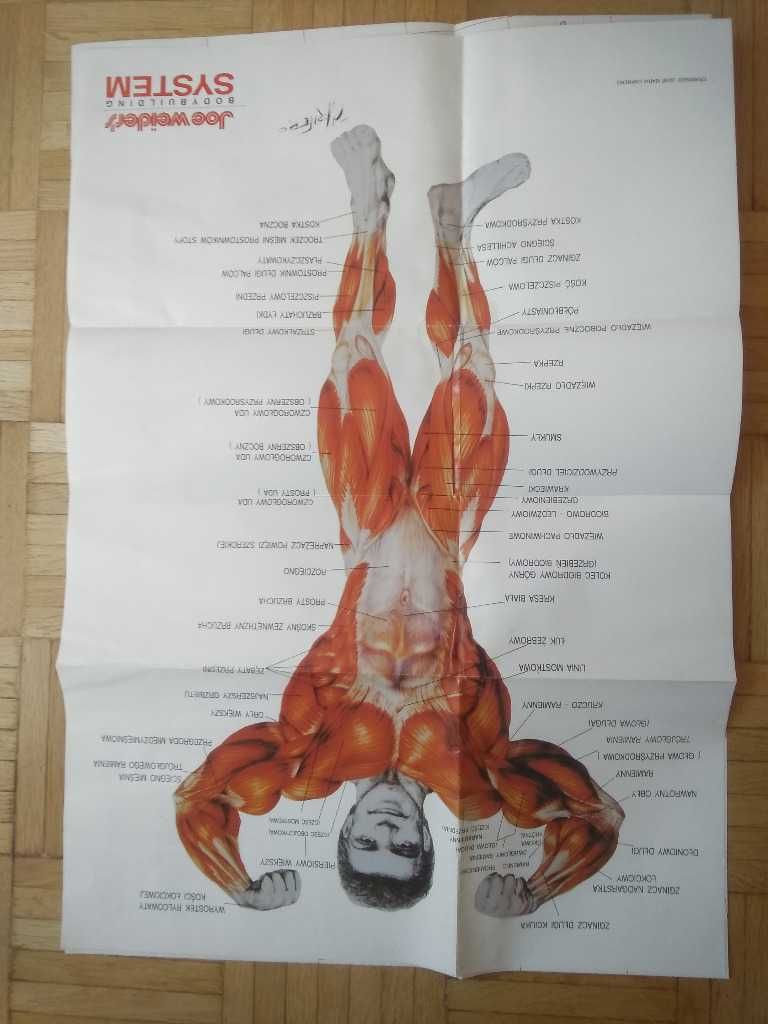 Kulturystyka System Joe Weidera plany ćwiczeń Trening Siłowy + plansze