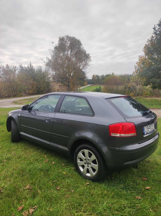 Audi a3 8p 1.6 MPI Benzyna 2003rok !