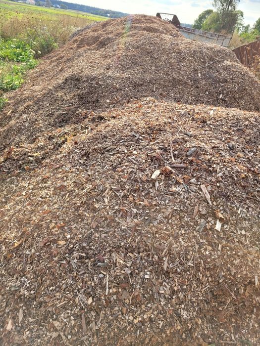 Zrębka Liściasto-Iglasta,zrębka liściasta,zrębka iglasta,zrębka agro