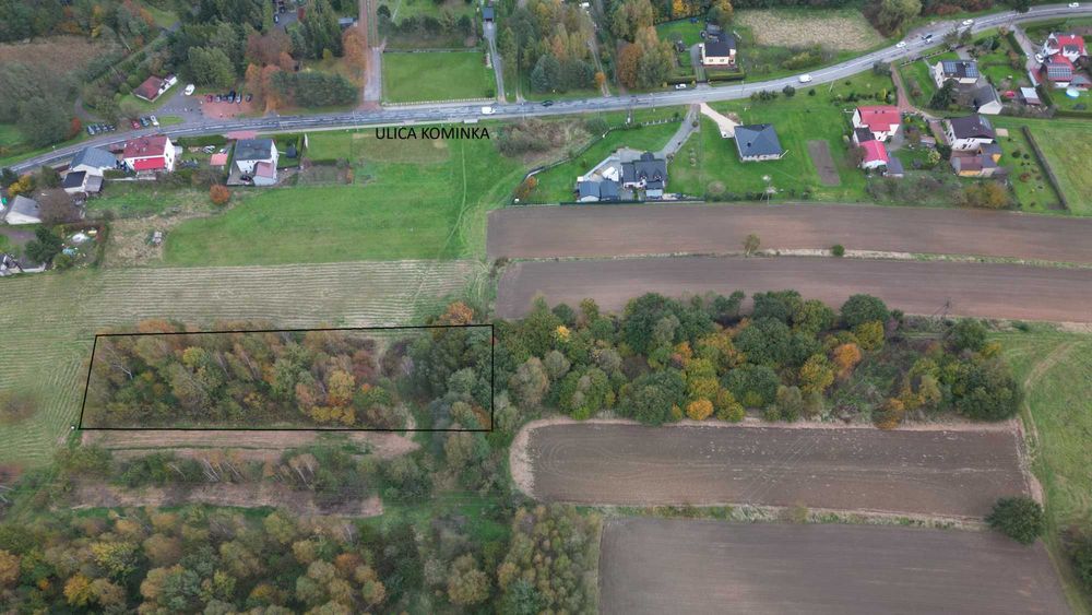 Duża działka w zielonej części Wodzisławia Śląskiego – 3411 m²