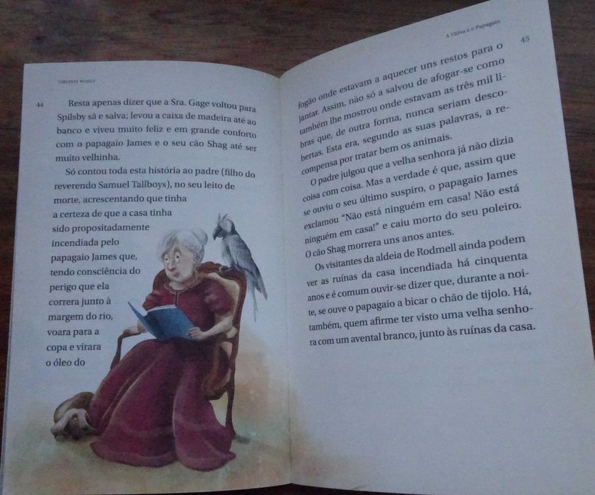 A Viúva e O Papagaio de Virginia Woolf