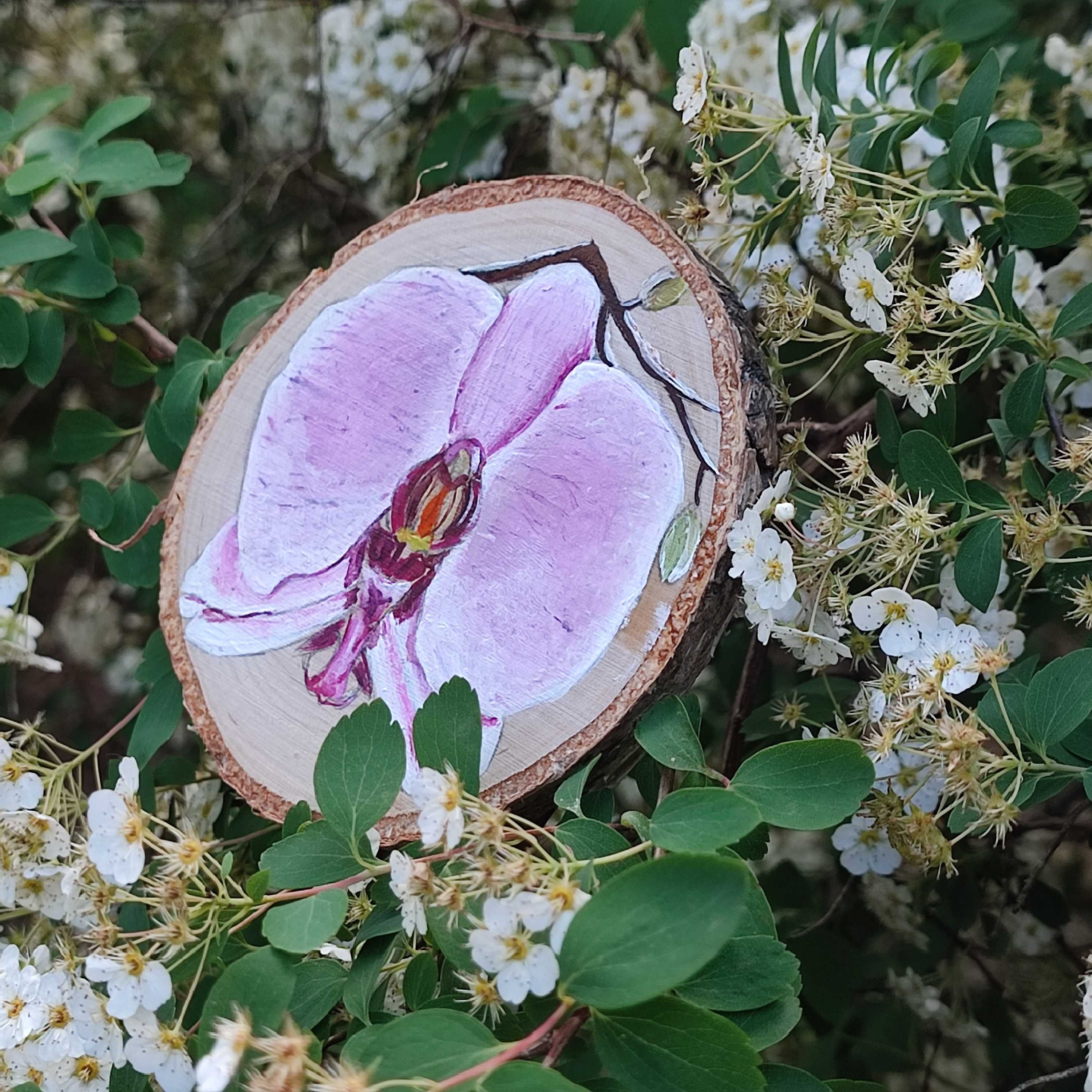 Magnes na lodówkę orchidea