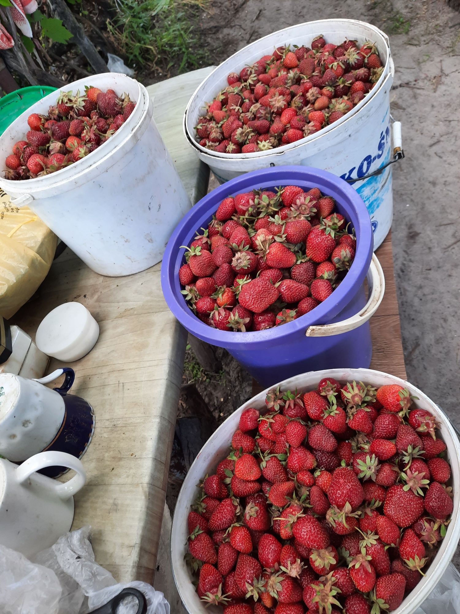 Продам земельну ділянку 24 сотки с. Загальці СТ "Дружня".