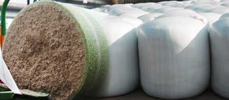 Bele z wysłodków buraczanych z sezonu 2025