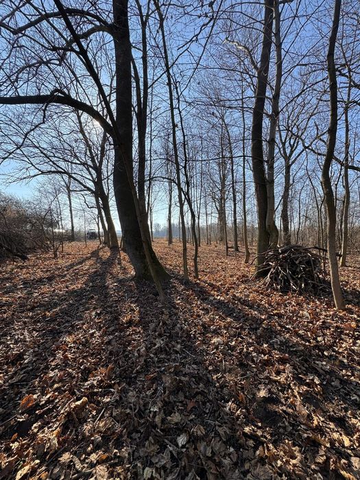 Piękna działka pod dom z lasem, miejscem na staw, dojazdem