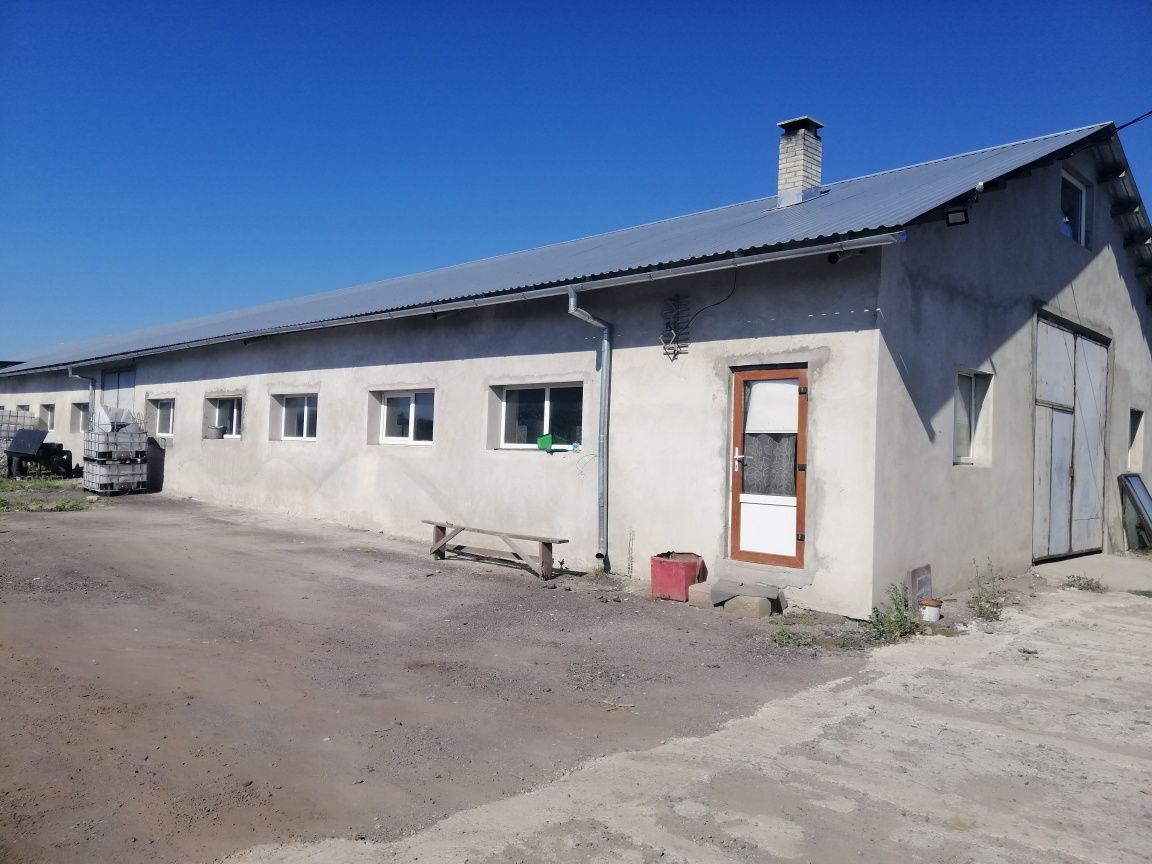 Оренда приміщення під виробництво, чи склад