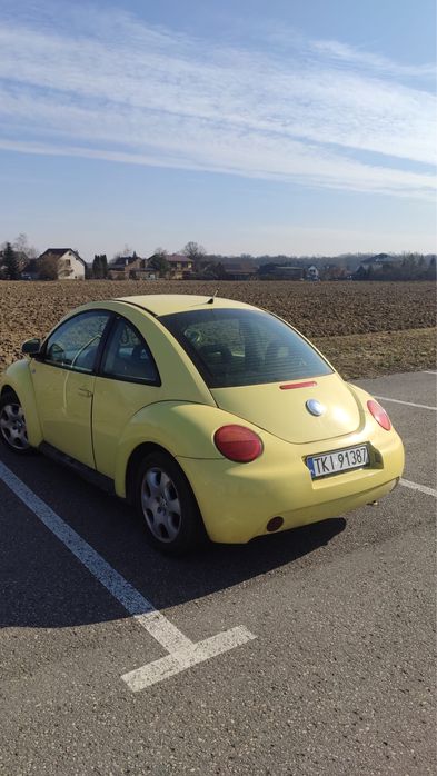 New beetle garbus 99r