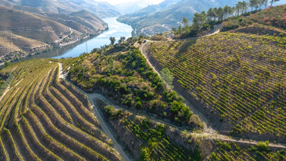 Quinta do Grilo - Alto Douro