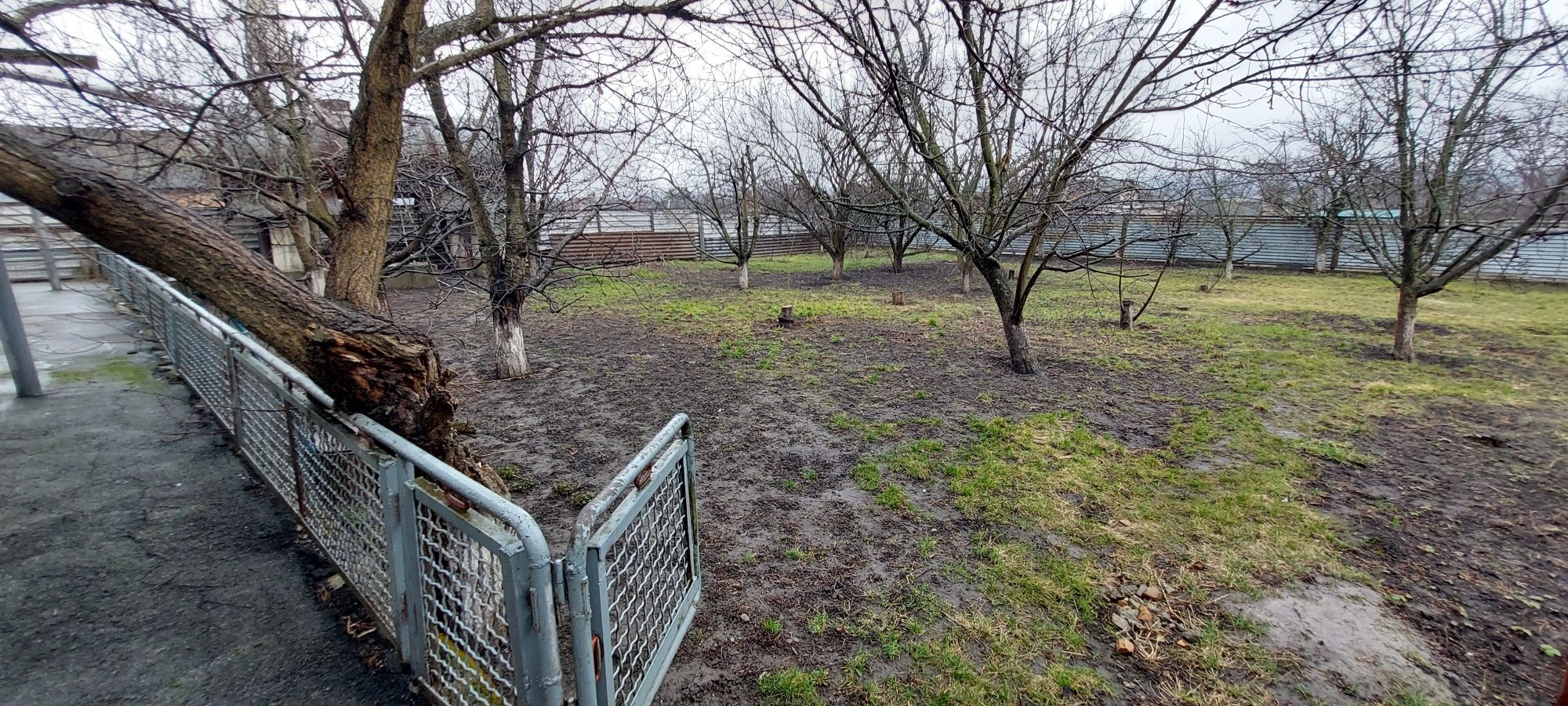 Продаж великого будинку у Протопопівці з великою зем.діл..