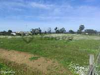 Terreno rústico de 0,775Ha localizado na Dogueno - Almodôvar