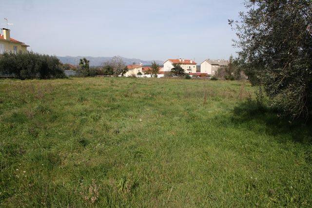Terreno para Construção no Centro de Tondela