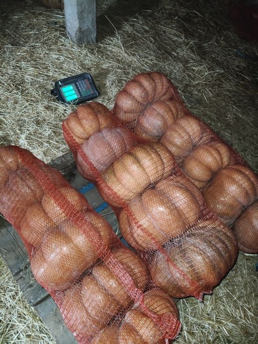 Ромашка и Баттернат