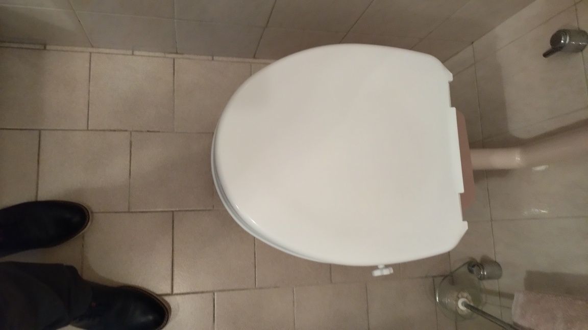 Assento sanitário