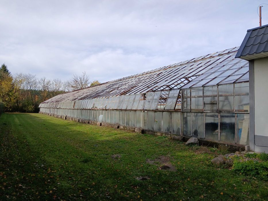 Szklarnia do rozbiórki i odzyskania