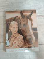 Pure Chance Gillian Rubinsten książka po angielsku