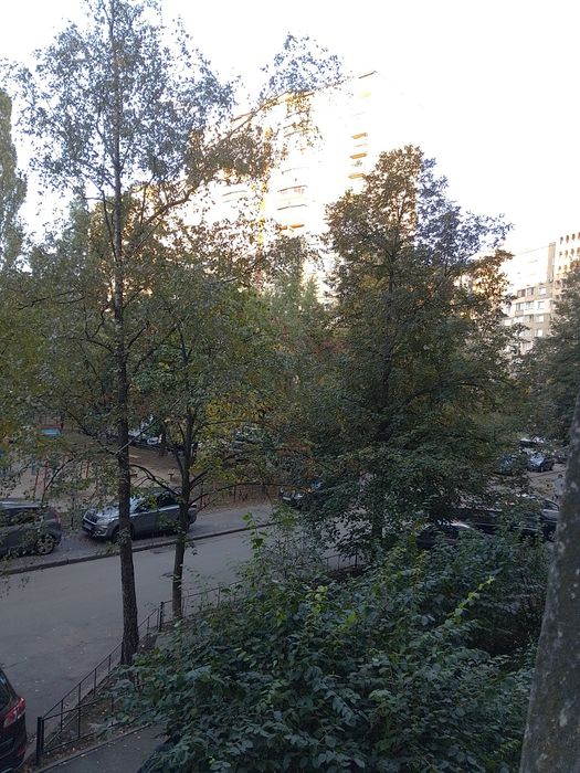 Сдам койко место парню. Виноградарь