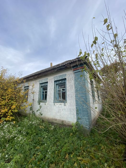 Продам будинок в с Новики