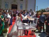 Pombos brancos para eventos