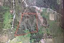 Terreno urbanizável 8500 m2 - Sertã, Castelo Branco
