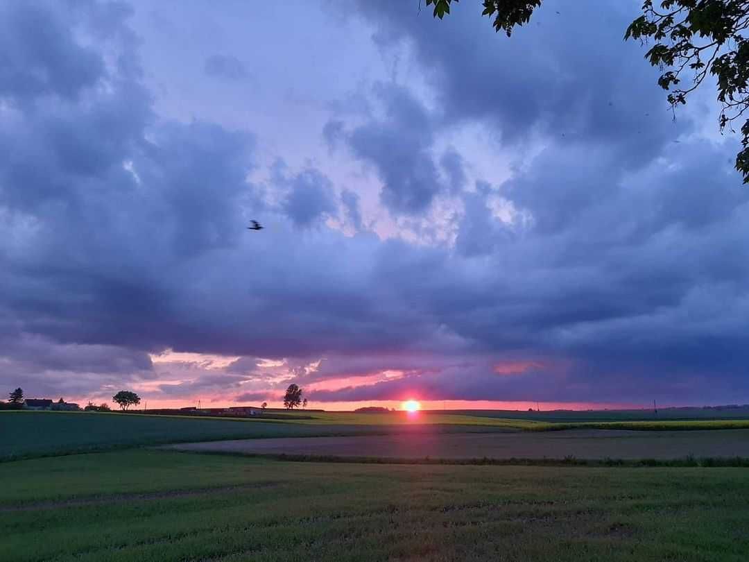 Ranczo u Wróbla , Słupnica k. Iławy  . Bon turystyczny