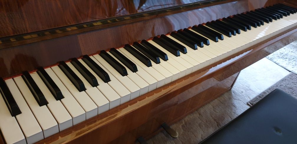 Pianino Calisia z krzesłem +dużo nut